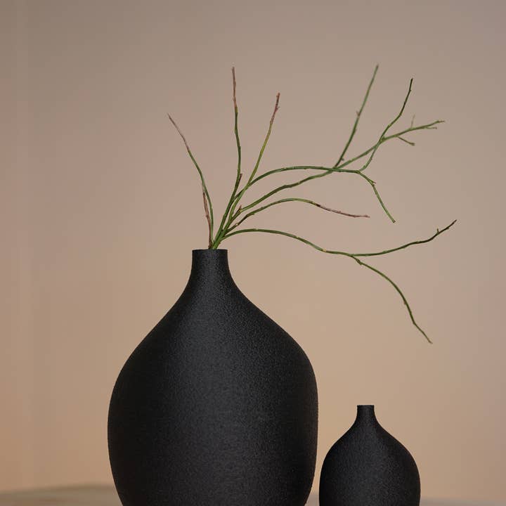 Vases à fleurs séchées